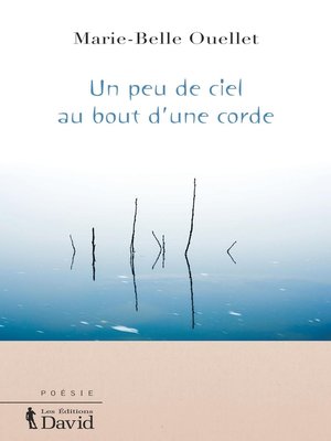 cover image of Un peu de ciel au bout d'une corde